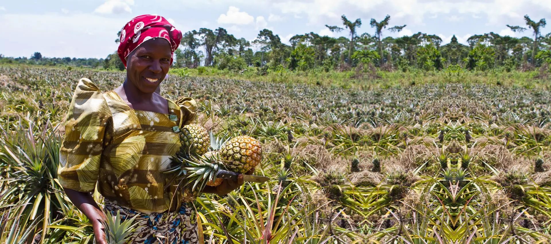 Fruit Farming